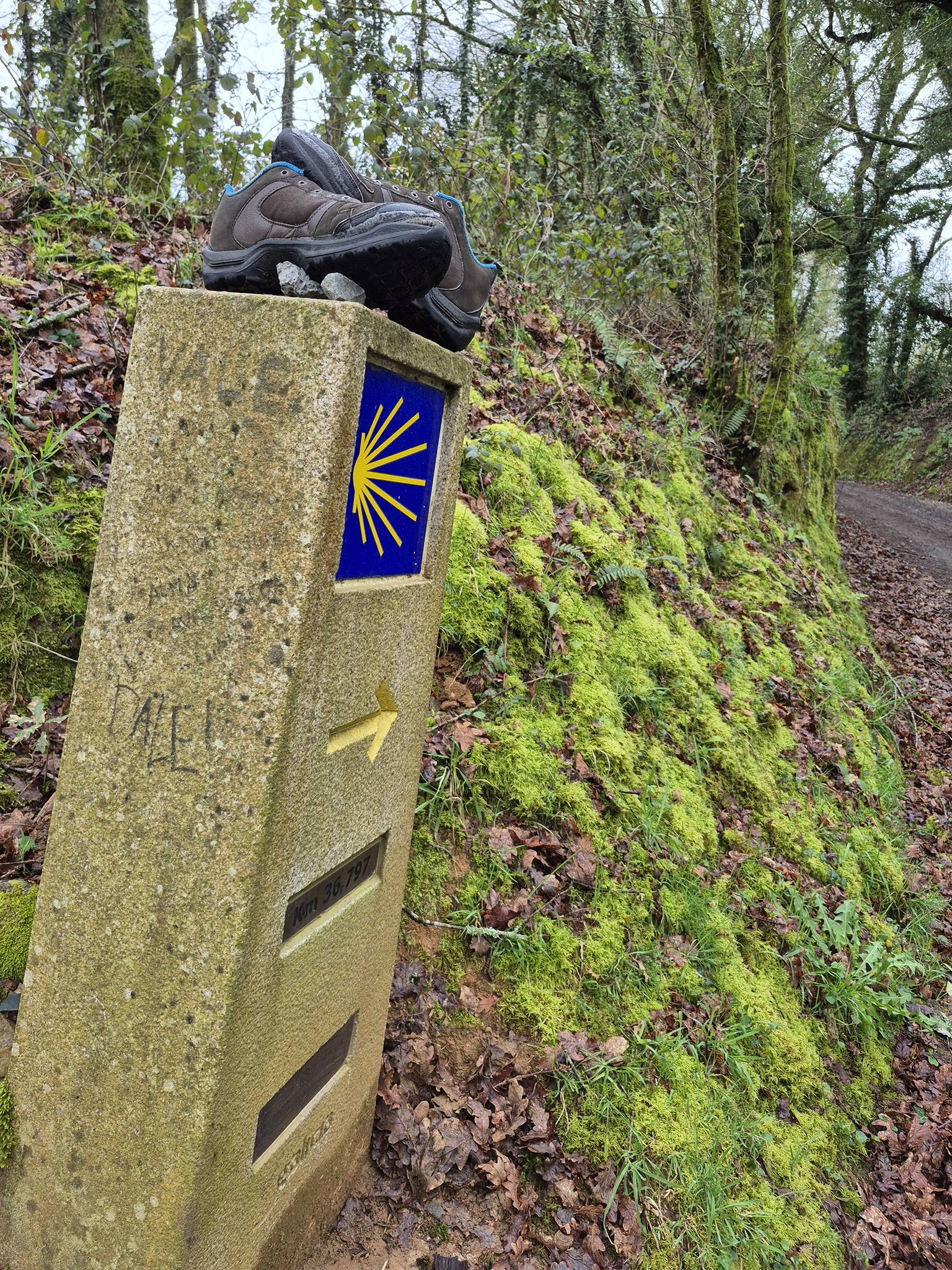 paar achtergelaten schoenen op een compostella wegwijzer met gele pijl op blauwe achtergrond
