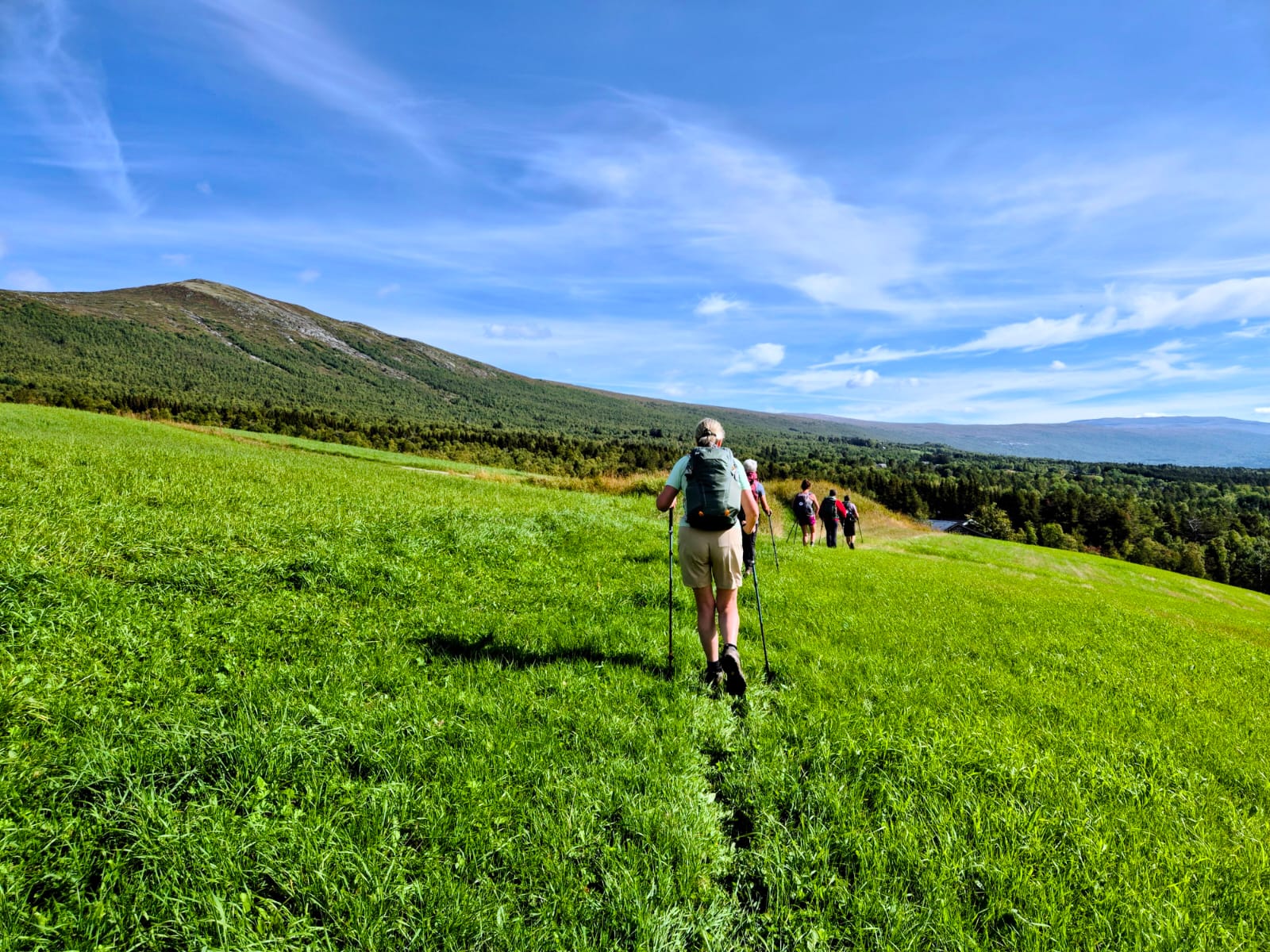 wandelaars in Noorwegen, wandelend op een pad omringd door heel fris vers groen gras