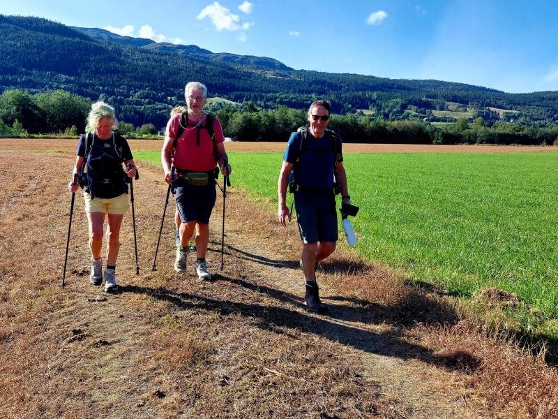 wandelaars in noorwegen met grasveld als achtergrond